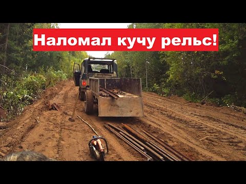 Видео: Притащил жену в ЛЕС. Наломала грибов, а я РЕЛЬС!