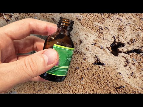 Видео: Муравьи 50 лет не возвращаются, быстро избавилась от муравьев и тли навсегда!