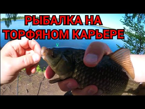 Видео: Рыбалка на Торфяном Карьере. Батл Фидер против Донки!