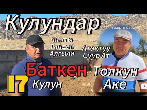 Видео: Толкун акенин Сур Атынын уругу Кулундар чыкты