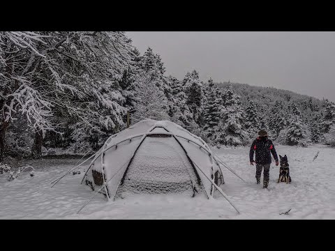 Видео: Горячий палаточный лагерь во время сильного снегопада с моей собакой | Зимний кемпинг, дровяная печь