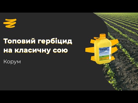 Видео: ТОП 🤘ГЕРБІЦИД НА КЛАСИЧНУ СОЮ💥 КОНТРОЛЬ ВСІХ БУР'ЯНІВ ЗА ОДИН ПРОХІД! КОРУМ