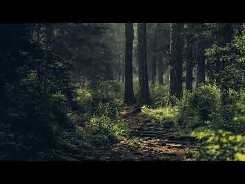 Видео: Мавка - Authentix  (slowed-reverb)