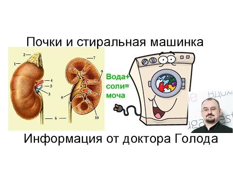 Видео: Почки и стиральная машинка.