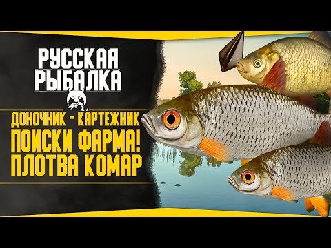 Видео: Путь доночника-картежника! в РР4 #2 💥 В поисках фарма | Заработок Серебра! |Русская Рыбалка 4!