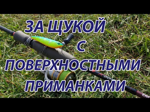 Видео: Ловля щуки в заросших каналах на поверхностные приманки.