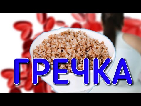 Видео: Гречканын пайдасы менен зыяны пайдалуу кеңештер
пайдалуу кенештер