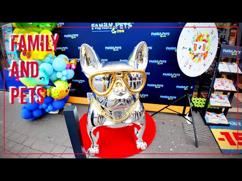 Видео: Открытие нового зоомагазина Family and Pets #vlog #pets #opening #зоомагазин