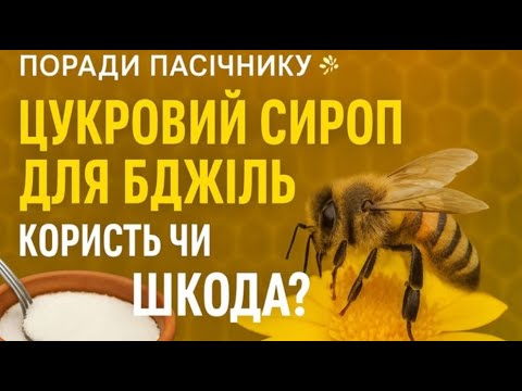Видео: Корисно чи шкідливо кормити бджіл цукровим сиропом