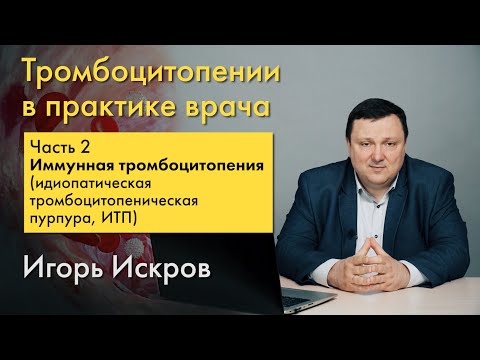 Видео: Иммунная тромбоцитопения (идиопатическая тромбоцитопеническая пурпура, ИТП). Часть 2