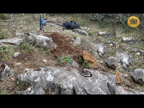 Видео: Медведь, лежащий на земле, Скоро будет большое сокровище, Момент поиска сокровищ