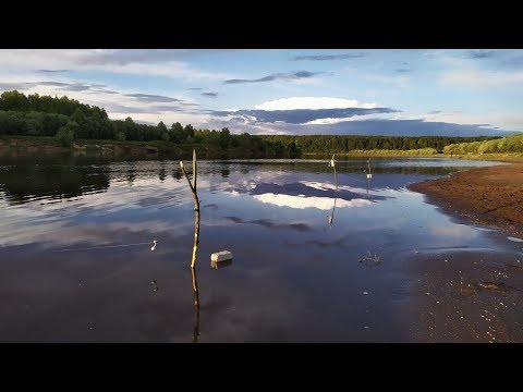 Видео: РЫБАЛКА НА ДОНКИ. ГОТОВЛЮ СУП ИЗ ЩАВЕЛЯ. РЕКА СЫСОЛА.