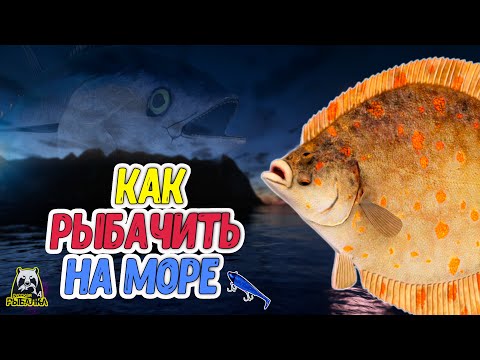 Видео: RF4 КАК РЫБАЧИТЬ НА МОРЕ, СОВЕТЫ, ТОЧКИ, СНАСТИ, ПРИМАНКИ #рр4