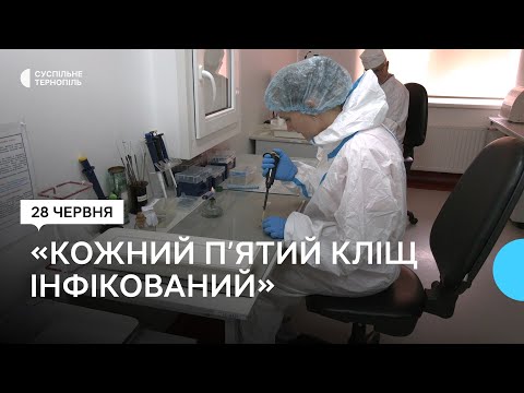 Видео: Що робити, якщо вкусив кліщ, розповіли у обласному центрі контролю хвороб