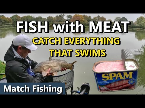Видео: РЫБАЛКА С МЯСОМ | РЫБАЛКА RIDDINGS