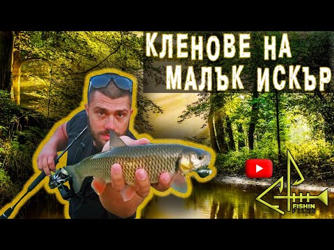 Видео: РИБИТЕ ВЗИМАХА В КРАКАТА ! | КЛЕНОВЕ НА МАЛЪК ИСКЪР