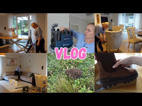 Видео: VLOG🇩🇪: 🏡НЕМНОГО МОТИВАЦИИ😁ЧИЩУ СТУЛЬЯ / НОВЫЕ БОТИНКИ/ ЁЖИК 🦔🍂
