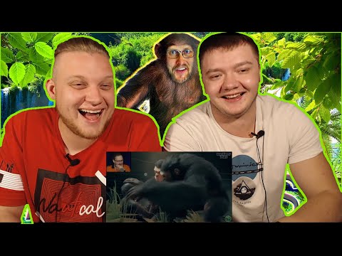 Видео: Реакция на Куплинова | Эволюция Куплинова | Смешные моменты в ANCESTORS THE HUMANKIND ODYSSEY