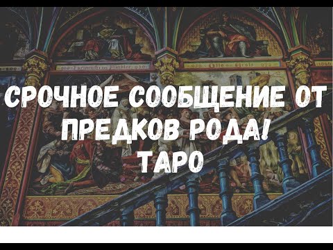 Видео: 🌘РОД ХОЧЕТ ПЕРЕДАТЬ ВАМ СООБЩЕНИЕ! ПРЕДУПРЕЖДЕНИЕ И ПОДСКАЗКИ. ТАРО