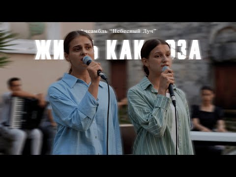 Видео: ЖИЗНЬ КАК РОЗА // Ансамбль "Небесный Луч"