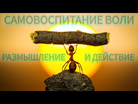 Видео: САМОВОСПИТАНИЕ ВОЛИ N 6/РАЗМЫШЛЕНИЕ И ДЕЙСТВИЕ/ЖЮЛЬ ПЭЙО И ПСИХОЛОГ ДЕНИС ДМИТРИЕВ