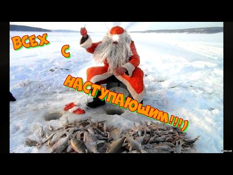 Видео: Рыбалка перед Новым Годом!!!. Рыбалка на окуня зимой. Отличный окунь.