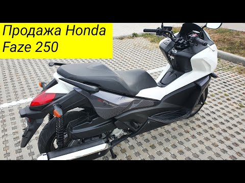 Видео: Honda Faze 250 MF11 макси скутер з Японії продаю мопед ціна прайс glovo Доставка + Тест