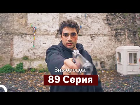 Видео: Зимородок 89 Cерия (Русский дубляж)