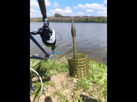 Видео: Ловля карпа весною. Флет Фідер. CarpBalls.