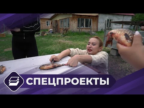 Видео: Спецпроект: «Городские девчата» (2 сезон - 7 выпуск)