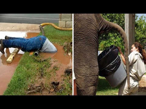 Видео: Для тех, кто жалуется на работу в офисе