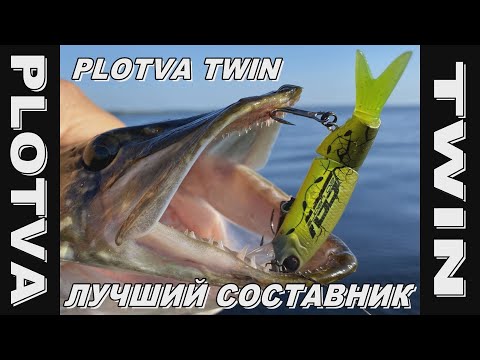 Видео: PLOTVA TWIN - пожалуй, лучший составник!