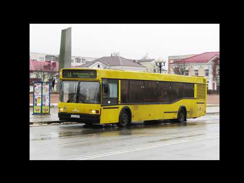 Видео: Автобусы Жлобина