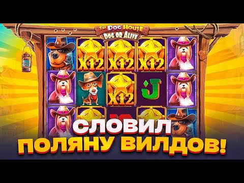 Видео: СЛОВИЛ ОГРОМНУЮ ПОЛЯНУ ВИЛДОВ В THE DOG HOUSE DOG OR ALIVE!!! СЛОВИЛ ВТОРОЙ РЕТРИГГЕР????