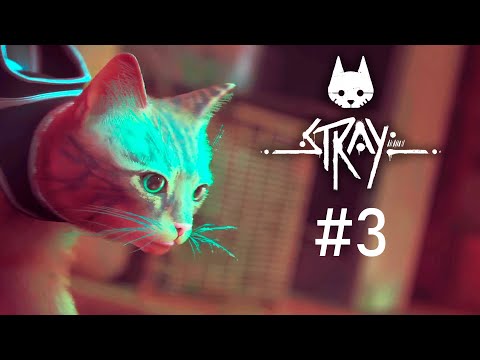 Видео: STRAY | КЛЕМЕНТИНА