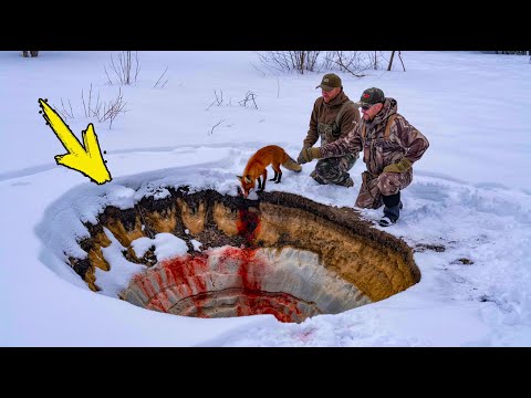 Видео: Лиса привела охотников к яме. То, что они там увидели, заставило их бросить оружие!