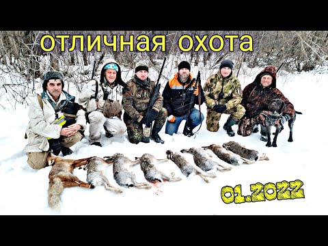 Видео: Охота на зайца. Одна из лучших моих охот! Смотреть до конца!