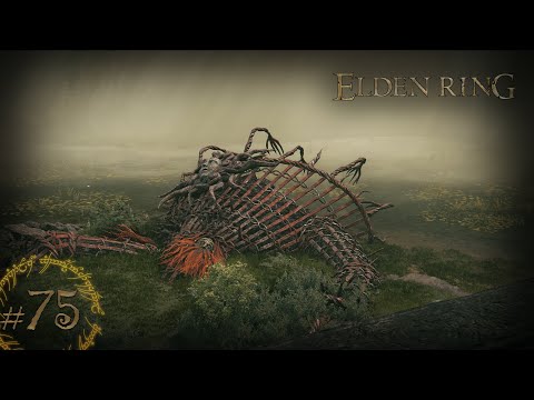 Видео: Elden Ring #75 Руины Рауха