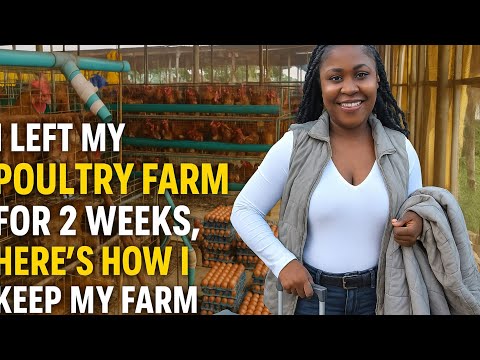 Видео: Прежде чем отправиться в путешествие, я сделал ЭТО, чтобы моя птицеферма работала