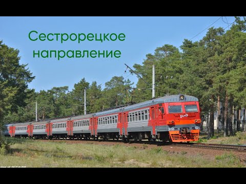 Видео: Сестрорецкое направление