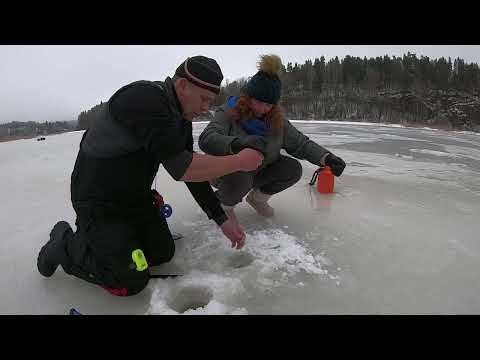 Видео: ВОТ ЭТО РЫБАЛКА! СЛАБОНЕРВНЫМ НЕ СМОТРЕТЬ! Вываживаем щуку. Адреналин кипит!
