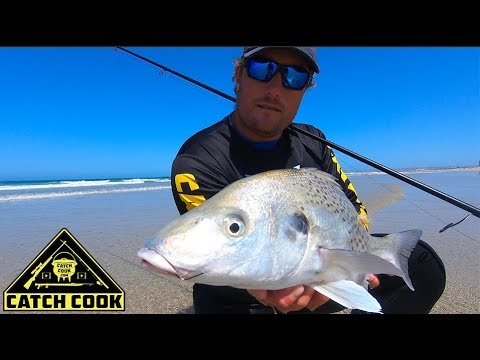 Видео: Пятнистый хрюкающий гриллер на пляже [Catch Cook] Южная Африка, PE