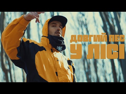 Видео: Довгий Пес - У лісі