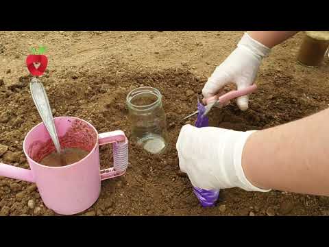 Видео: Самостоятельно измерьте значение pH почвы и обеспечьте растениям хорошие условия для роста