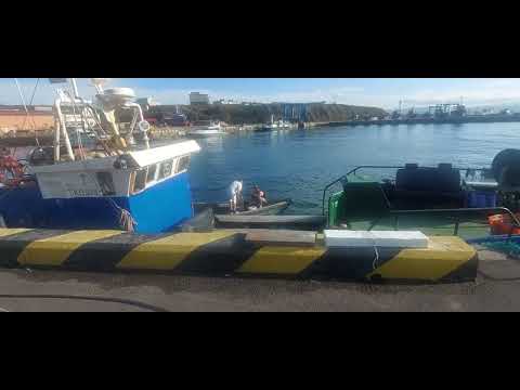 Видео: Итуруп