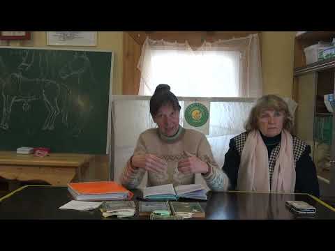 Видео: 20250407 РОД РПВО