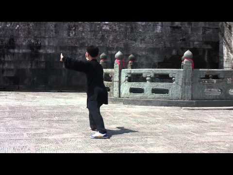 Видео: Ван Лин. Тайцзицуань 42 формы Ян (вид сбоку).mp4