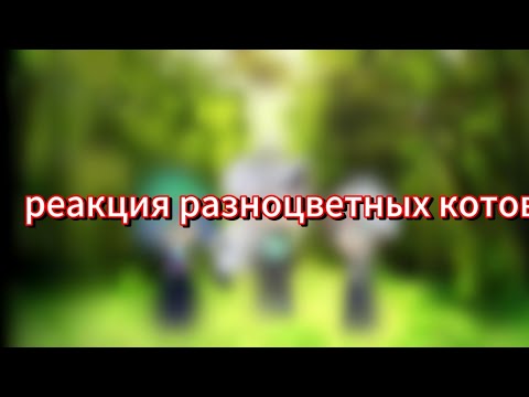 Видео: Реакция разноцветных котов на шипы и не только