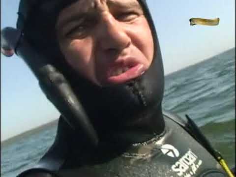 Видео: Подводная охота (А.Кочубей): Амазонки снова в бою.