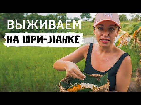 Видео: ШРИ-ЛАНКА НА ВЫЖИВАНИЕ. НА КРЕЙЗИ БАСЕ ПО ОСТРОВУ.